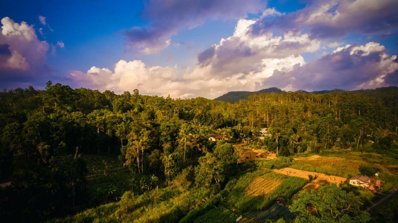 Ella Breeze Homestay Dış mekan fotoğraf