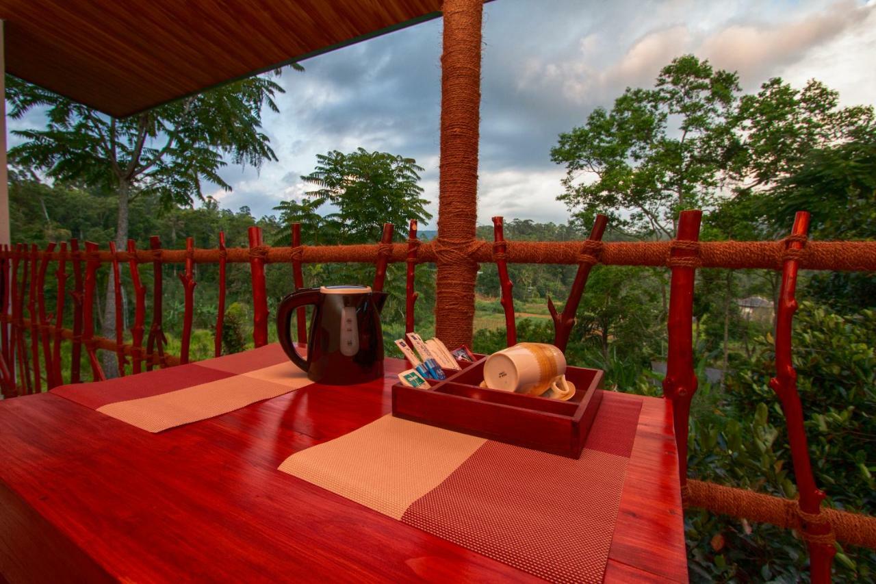 Ella Breeze Homestay Dış mekan fotoğraf